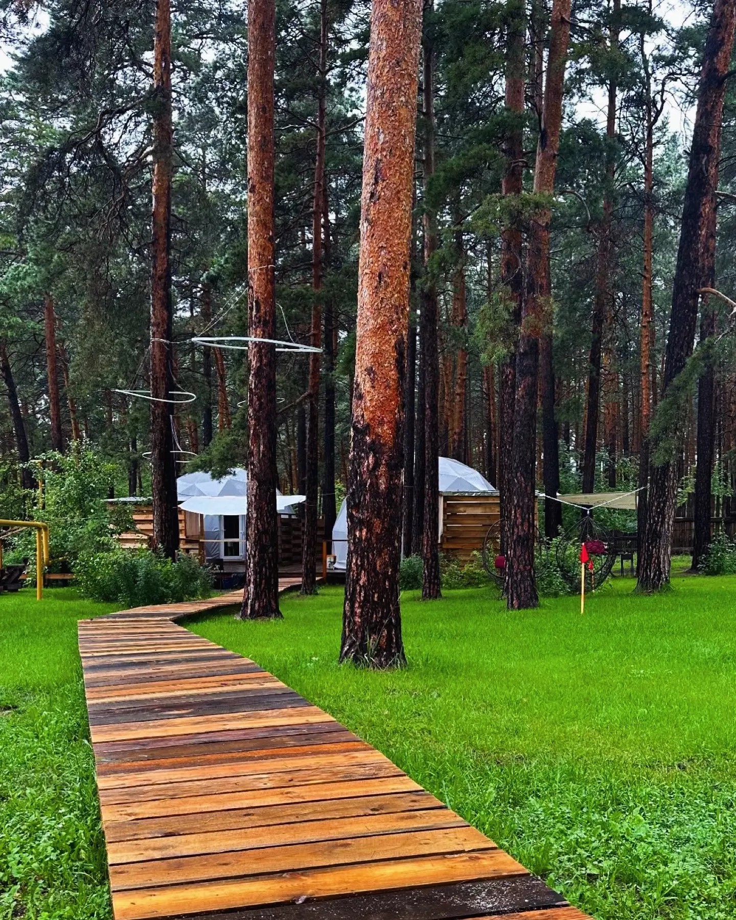 Территория MagicWood — фотография 7